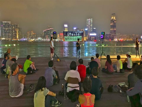 Lantau project a threat to environment