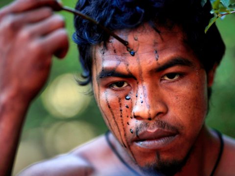 Brazil’s government rapped for murder of Amazon guardian