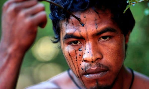 Brazil’s government rapped for murder of Amazon guardian