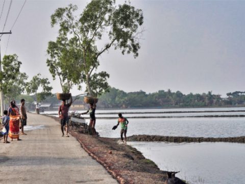 Rise in sea levels to affect 300 million by 2050