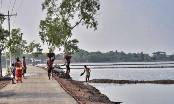 Rise in sea levels to affect 300 million by 2050