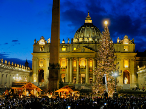 Vatican puts up Nativity scene and Christmas tree