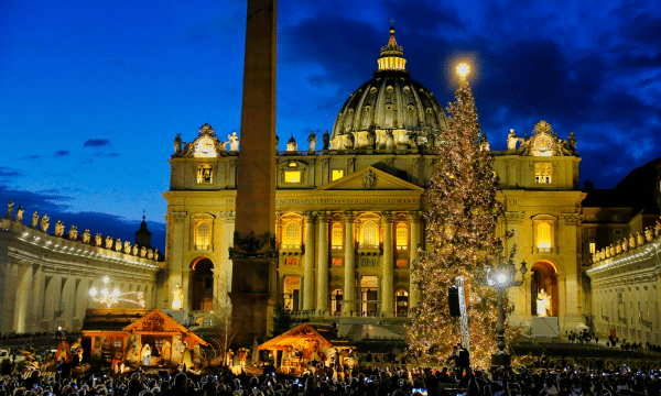 Vatican puts up Nativity scene and Christmas tree