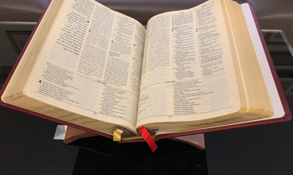Hold the Bible in your hands to make it your prayer