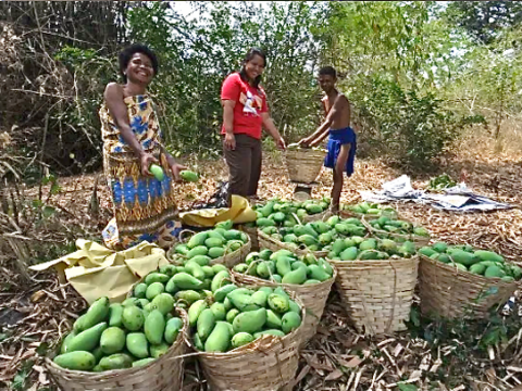Fair trade, prices, wages, help prevent human trafficking