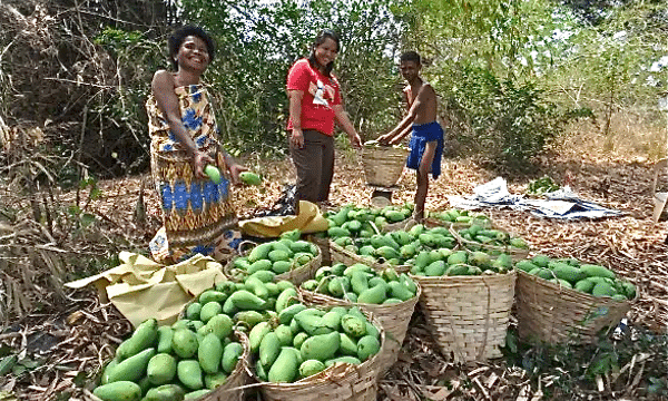 Fair trade, prices, wages, help prevent human trafficking