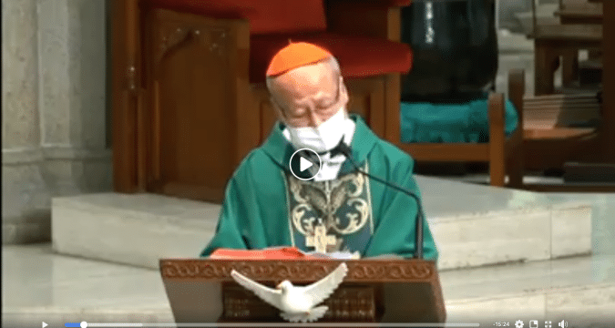 Cardinal Tong: Homily Seventh Sunday in Ordinary Time