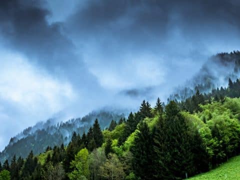 Join week of climate reflection pope urges