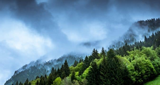 Join week of climate reflection pope urges