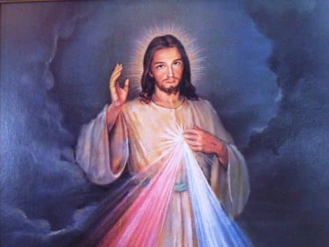 Your daily Mass guide