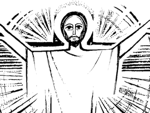 Your daily Mass guide
