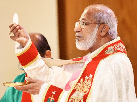 Indian cardinal upset by court order on eco-sensitive zones