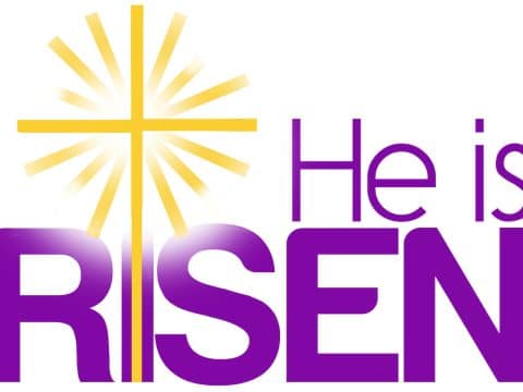 Your daily Mass guide