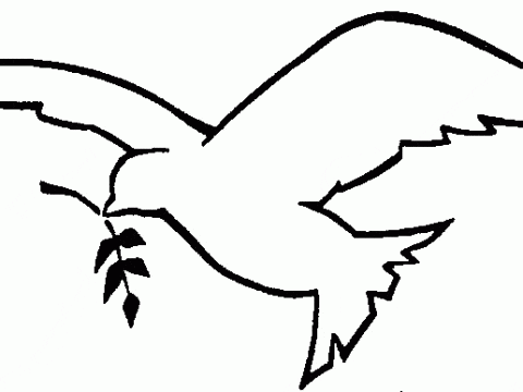 Your daily Mass guide