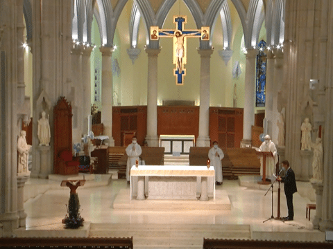 Huge response to livestreamed Mass