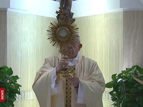 Thanks pour in to Pope Francis for livestreamed Masses