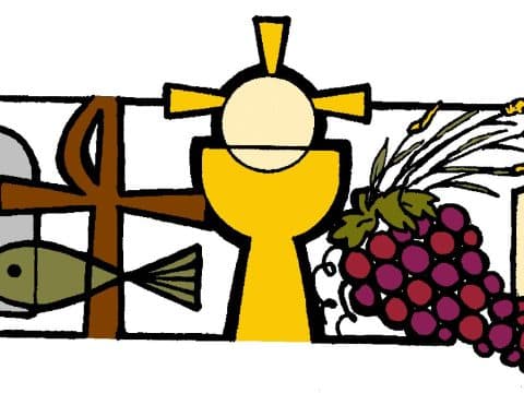 Your daily Mass guide