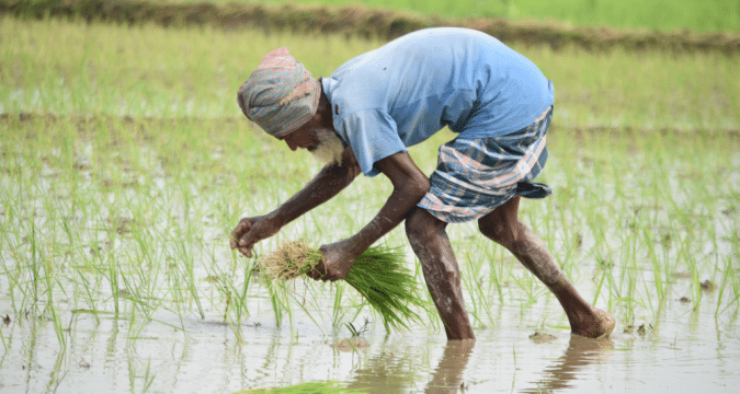 Virus-hit Asian countries focus on food innovation