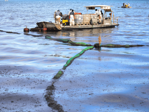 Cardinal praises outpouring of solidarity after Mauritius oil spill