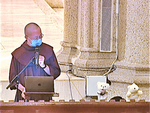 Let’s talk to nature Franciscan brother urges