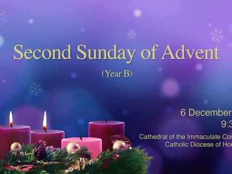Mass from the Cathedral of the Immaculate Conception for the Second Sunday of Advent. Hong Kong, December 6, 9.30am  (GMT +8)