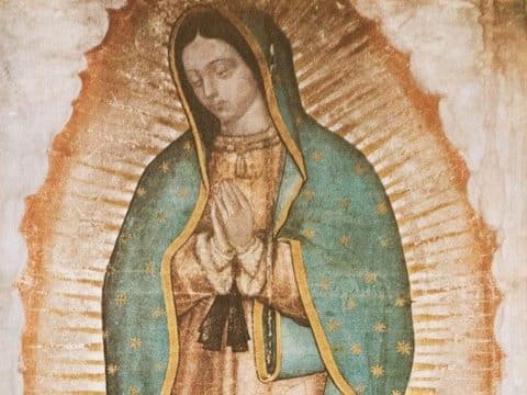 Mass in honour of Our Lady of Guadalupe to be live-streamed
