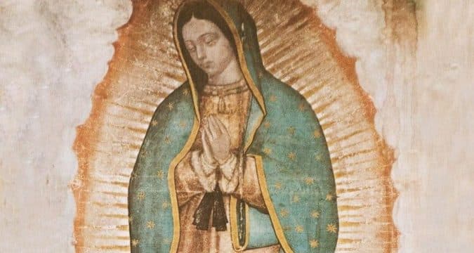 Mass in honour of Our Lady of Guadalupe to be live-streamed