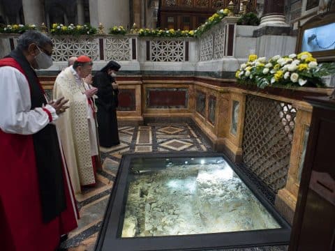 Christian unity: abide in God, prune away prejudices and welcome others, pope says
