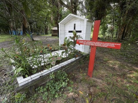 Twenty died violently for the faith in 2020