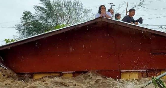 Philippine diocese vows to plant over a million trees