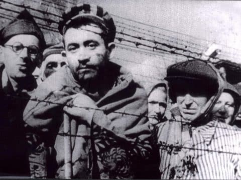The Holocaust and freedom from racism