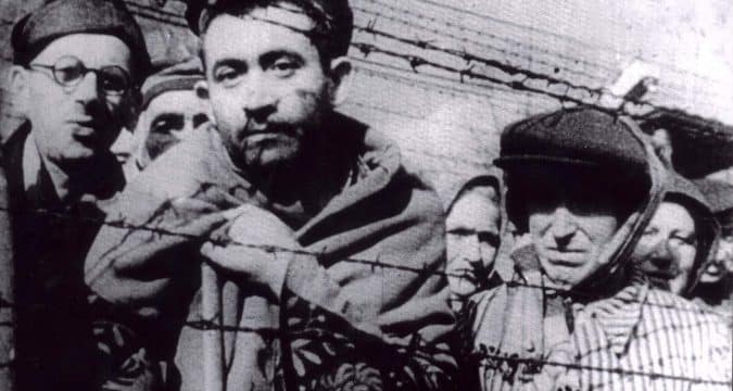 The Holocaust and freedom from racism