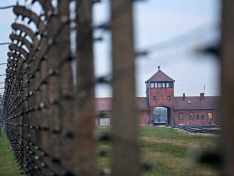 Failure to remember Holocaust will lead world down same path pope says