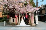 A Japanese bride and groom beneath a cherry blossom tree. Photo: Kirsten Wilson via Unsplash