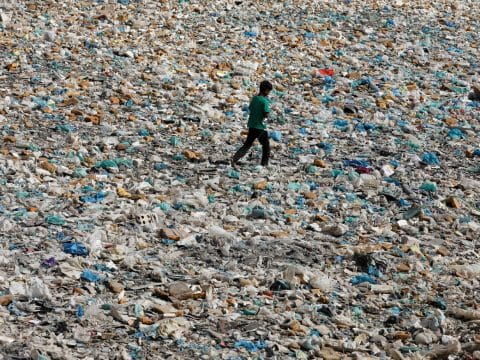 Restore our earth so we can live