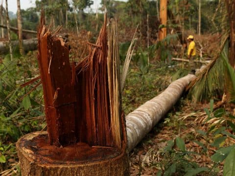 Risks to life outweigh economic benefits of exploiting nature