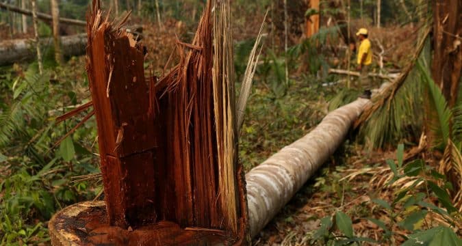 Risks to life outweigh economic benefits of exploiting nature