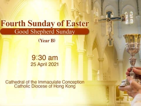 Fourth Sunday of Easter.  From the Cathedral of the Immaculate Conception, Hong Kong, April 25, 9.30pm (UTC/GMT +8)