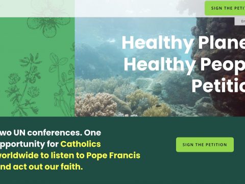 Petition to show Catholic support for healthy planet