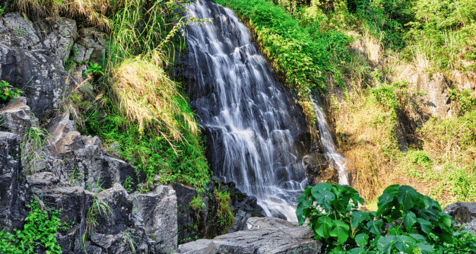 Momentum for Laudato Si’ gears up for next decade