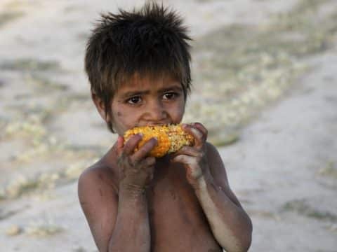 Rural and family farmers have little for themselves pope says