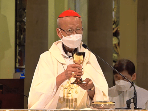 Pro-life Day: show concern for the vulnerable