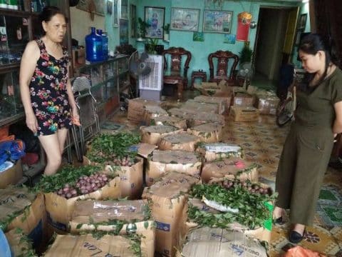 Helping hand for farmers in northern Vietnam