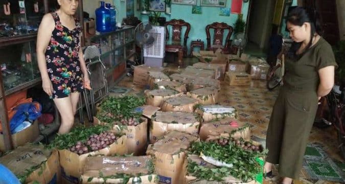 Helping hand for farmers in northern Vietnam
