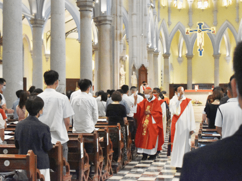 Thanksgiving Mass welcomes the newly-baptised