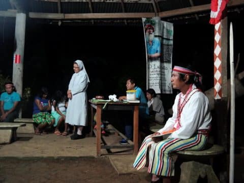 Time to act on Amazon synod, cardinal says