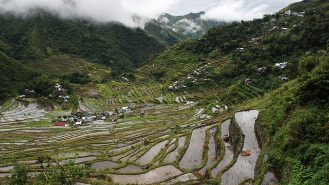 To feed the world involve family farms, pope says