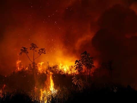 Climate change report: time for action is now, say advocates