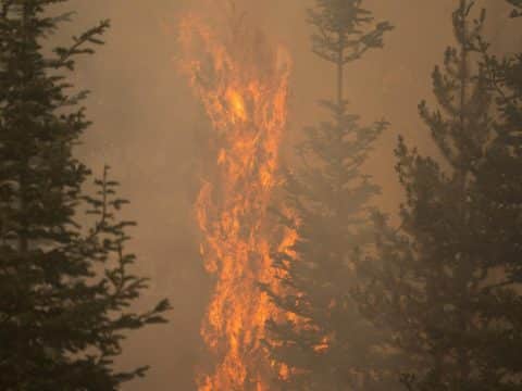 We are responsible for a burning, drowning planet