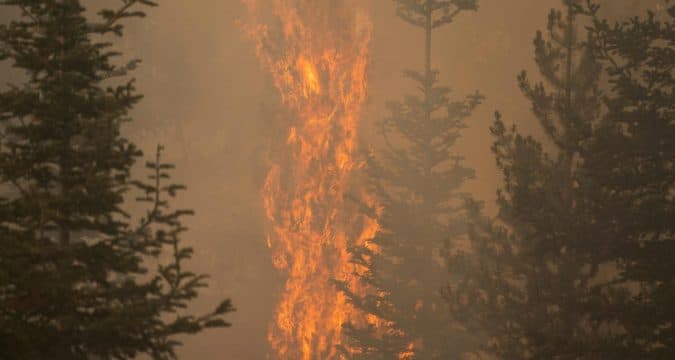 We are responsible for a burning, drowning planet
